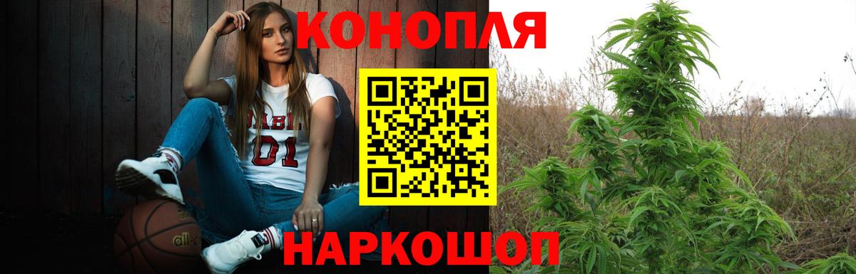 Канабис VHQ  Вход с VPN  Бошки Шишки семена  Конопля AK-47  Кувандык 
